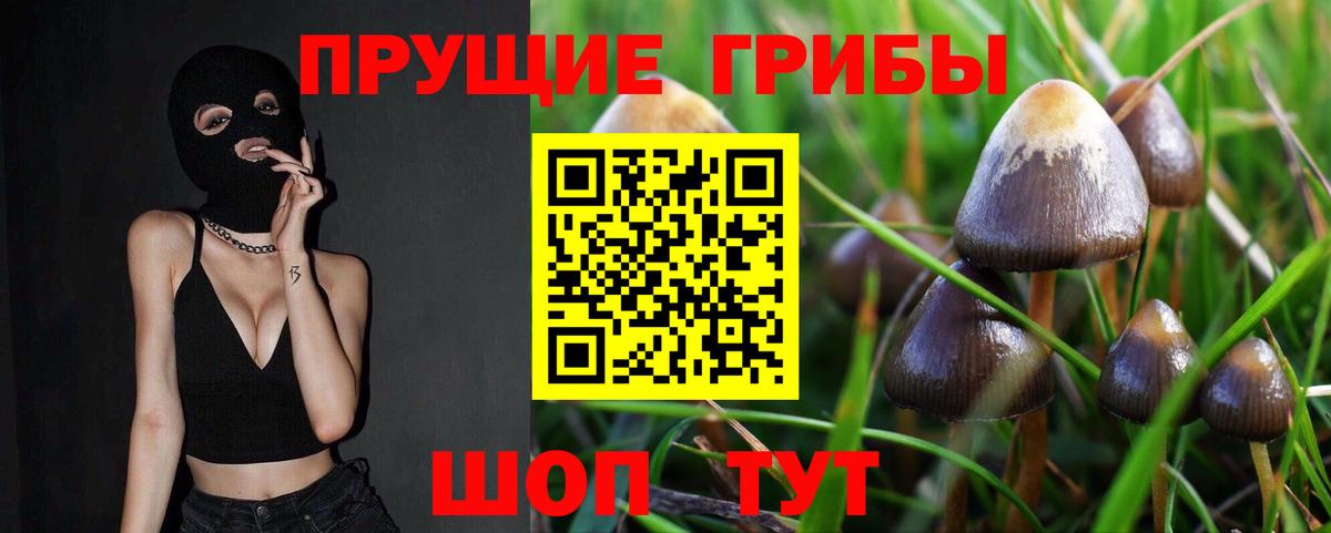 Галлюциногенные грибы ЛСД Верхняя Пышма